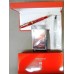  PLATINUM #3776  PNB-36000SK 錦秋鋼筆